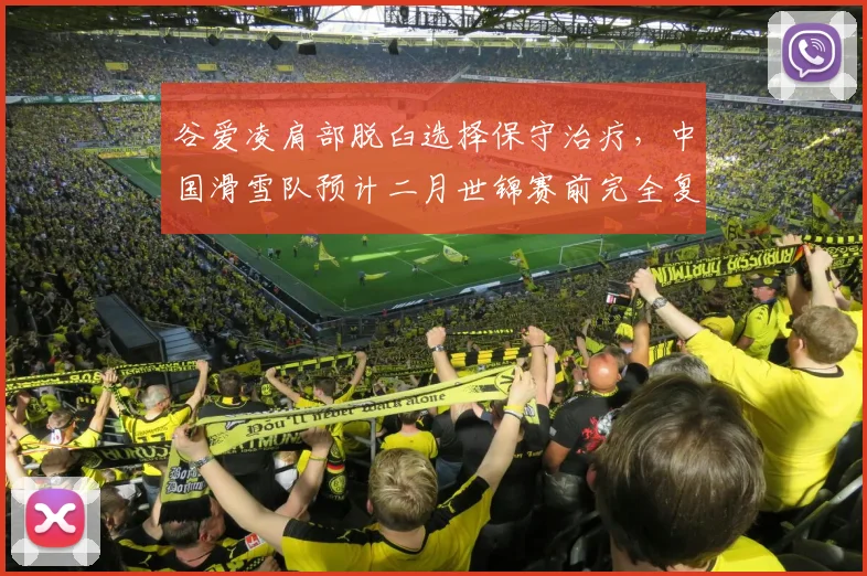 谷爱凌肩部脱臼选择保守治疗，中国滑雪队预计二月世锦赛前完全复出